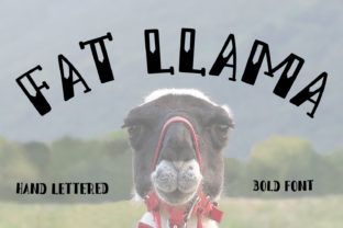 Font Review: Fat Llama for Editorial Design