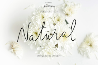 Natural: A Versatile Script Font for Editorial Design