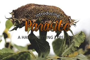 Parasite: A Bold Script Font for Dynamic Campaigns